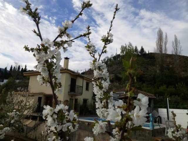 Casa Rural Las Huertas De Roque Monachil Cameră foto