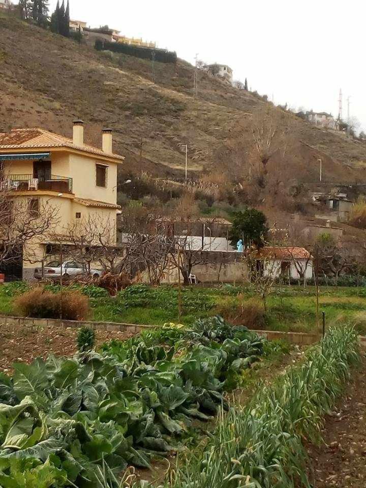 Casa Rural Las Huertas De Roque Monachil Cameră foto